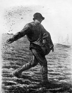 Rozsévač, c1850, 1913. od Jean Francois Millet