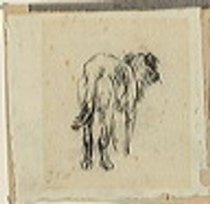 Studie eines Hundes von Jean-Francois Millet