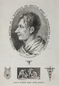 Portrét Guillauma Rouviera 1760-1815, 1815