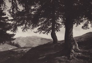 Rigi Staffel, procházka poblíž Staffel (černobílá fotografie) od Jean Gaberell
