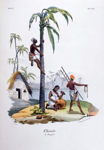 Chanar, 1828 od Jean Henri Marlet