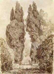 Velké cypřiše ve Villa d