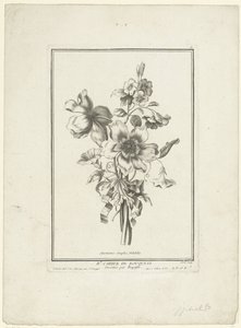 Kytice sasanky a svlačec Anemones simples, Volubilis (název na objektu) IIe Cahier de Bouquets (název série) od Jean Jacques Avril (I)