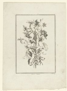 Kytice z narcisu a svlačec Narcissus, Volubilis (název na objektu) IIe Cahier de Bouquets (název série) od Jean Jacques Avril (I)