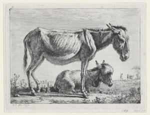 Jenny se svým hříbětem, 1797. od Jean Jacques de Boissieu