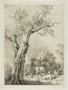Jaro od Jean Jacques de Boissieu