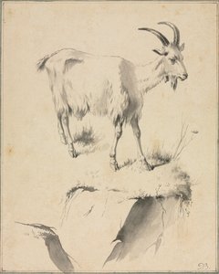Studie kozy od Jean Jacques de Boissieu