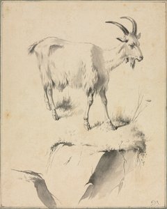 Studie o koze, 1700. od Jean Jacques de Boissieu