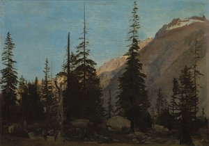 Alpská krajina: The Handegg, Švýcarsko, 50. léta 19. století. od Jean Leon Gerome