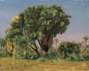 Studium palem od Jean Leon Gerome