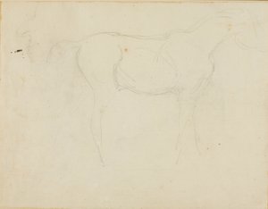 Náčrtek koně tváří vpravo a karikatura z profilu od Jean Louis André Théodore Géricault