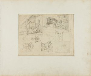 Náčrtky koz od Jean Louis André Théodore Géricault