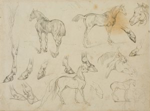 Náčrtky koně od Jean Louis André Théodore Géricault