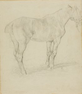 Stojící kůň od Jean Louis André Théodore Géricault