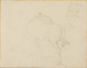 Studie koně otáčejícího hlavou a zvedajícího zadní nohu od Jean Louis André Théodore Géricault
