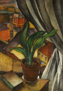 Aspidistra, kolem roku 1912 (olej na plátně)