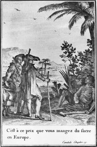 „Za tuto cenu jíte cukr v Evropě“, ilustrace z 19. kapitoly knihy „Candide“ od Francoise Voltaira (1694-1778) vyrytý Pierrem Charlesem Baquoyem (1759-1829) 1787 (rytina) (č/b foto)