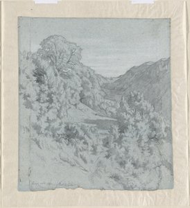 Sluncem zalité stromy v údolí poblíž Lacoux od Jean Paul Flandrin