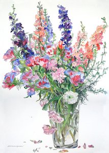Ranunculus, Godetia, Delphiniums, 2000 (akvarel a tuš na papíře)
