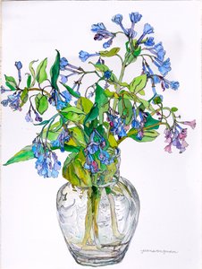 Virginia Blue Bells in Narrow Necked Vase, 2006 (akvarel a tuš na papíře)
