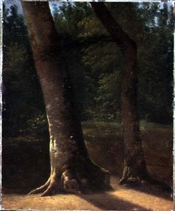 Study of Trees, c.1815 (olej na papíře) od Jean Victor (attr. to) Bertin