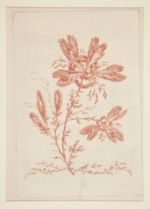 Bez názvu (Ideal Flowers), ze sady šesti