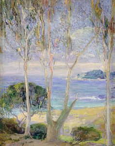 A Clear Day, California Coast, cca 1918 (olej na plátně) od Jennie Vennerstrom Cannon
