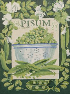 Pisum, Hrách (akryl) od Jennifer Abbott