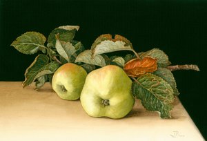 Bramleys od Jenny Barron