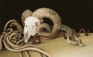 Vanitas, 2004 (wc na papíře)