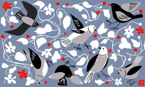 Birdy od Jenny Frean