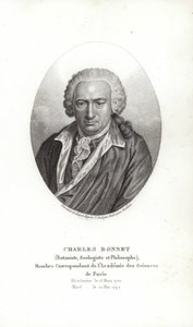 Charles Bonnet od Jens Juel