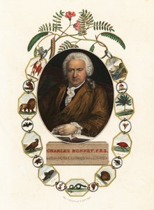 Portrét Charlese Bonneta, ženevského přírodovědce. 1803 (rytina) od Jens Juel
