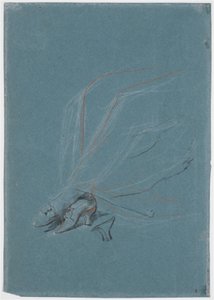 Studie nohou a chodidel pro portrét Madame de Prangins od Jens Juel