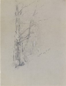 Suchý potok, 1888.