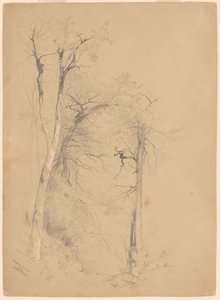 Kaaterskill hřebíček od Jervis McEntee