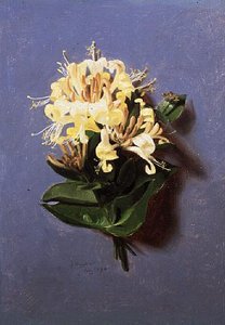 července (ze série dvanácti) od Jessica Hayllar