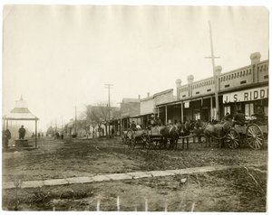 Arkansas 1903 od Jessie Tarbox Beals