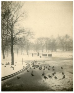 Boston Common, Boston, USA, kolem 1902-10 od Jessie Tarbox Beals