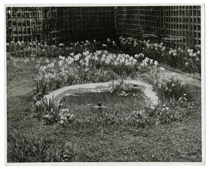 Garden of Mr & Mrs Wm H Wells 265 W 11th St, New York, USA od Jessie Tarbox Beals