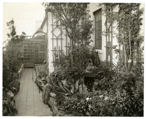 Zahrada paní Reginy Jaisové, cca 1936-37 (želatinová stříbrná fotografie) od Jessie Tarbox Beals