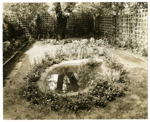 Garden of Mrs W H Wells 265 W 11th, Greenwich Village, New York, USA, cca 1936-37 (želatinová stříbrná fotografie) od Jessie Tarbox Beals
