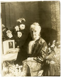 Paní Greenwich Horne?, kolem 1905-40 (želatinová stříbrná fotografie) od Jessie Tarbox Beals