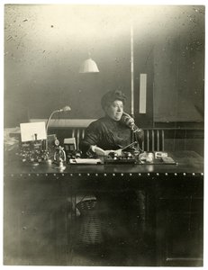 Paní Chas Netcher z Chicaga, majitelka jednoho z největších obchodů The Boston Store there Nyní je znovu vdaná, najděte si změnu jména Mollie Alpiner Netcher Newbury, kolem 1905-18 (želatinová stříbrná fotografie) od Jessie Tarbox Beals