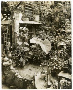 Bazén zobrazující terasu Domov George a Mary Stonehillových, Greenwich Village, New York, USA, cca 1936-37 (želatinová stříbrná fotografie) od Jessie Tarbox Beals