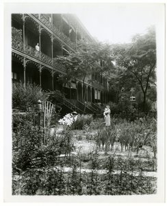 Rhinelander House gardens, W 11th St, Greenwich Village, New York, USA, cca 1905-38 (želatinová stříbrná fotografie) od Jessie Tarbox Beals