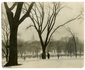 The Common, Boston, USA, cca 1902-10 (želatinová stříbrná fotografie) od Jessie Tarbox Beals