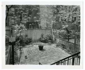 zadní terasa s ptačím domem, New York, USA, cca 1905-40 (želatinová stříbrná fotografie) od Jessie Tarbox Beals