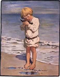 Objev Billyho chlapců byl mořský racek s poraněným křídlem (barva litho) od Jessie Willcox Smith