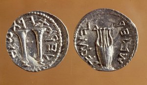Mince z Bar Kochba Revolt, 134-135 (kov)